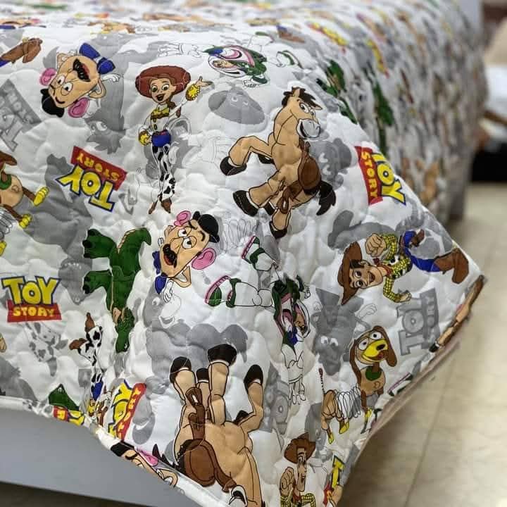 Toystory Coverta